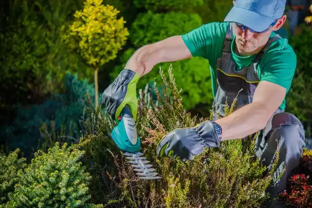 landscaping services York Harbor